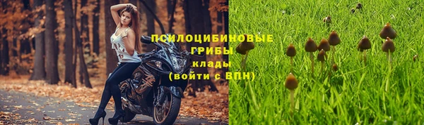 ALPHA-PVP Михайлов